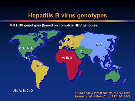 Bản đồ Genotype