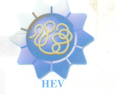 Hinh Virus HEV