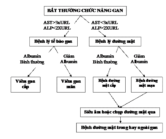 Hình 1